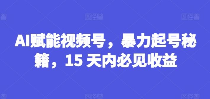 AI赋能视频号，暴力起号秘籍，15 天内必见收益【揭秘】-云慧网创
