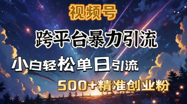 跨平台暴力引流，私域完美闭环，日引500+精准创业粉-云慧网创