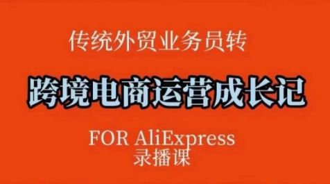 跨境电商速卖通运营课，​运营方法论+后台实操，逻辑清晰-云慧网创