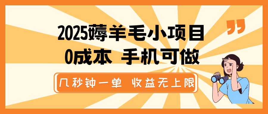 2025薅羊毛小项目，0成本 手机可做，几秒钟一单，收益无上限-云慧网创