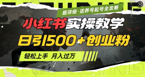 2月小红书最新日引500+创业粉实操教学【超详细】小白轻松上手，月入1W+，附小红书养号起号SOP-云慧网创