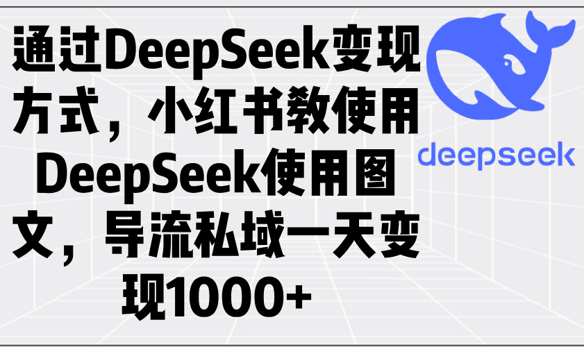 通过DeepSeek变现方式，小红书教使用DeepSeek图文，导流私域一天变现1000+-云慧网创