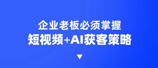 企业短视频AI获客霸屏流量课，6步短视频+AI突围法，3大霸屏抢客策略-云慧网创