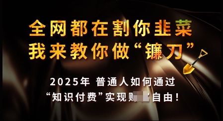 知识付费如何做到月入过W+，2025我来教你做“镰刀”【揭秘】-云慧网创