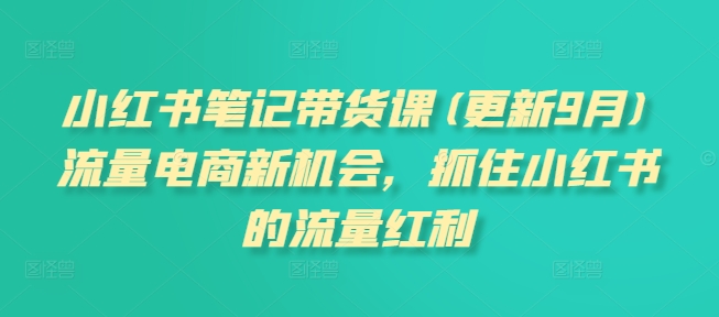 小红书笔记带货课(更新25年2月)流量电商新机会，抓住小红书的流量红利-云慧网创