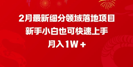 2月最新细分领域落地项目，新手小白也可快速上手，月入1W-云慧网创