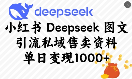 小红书Deepseek图文引流私域售卖资料，单日变现多张-云慧网创