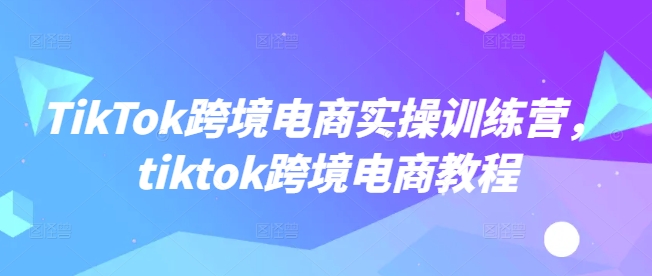 TikTok跨境电商实操训练营，tiktok跨境电商教程-云慧网创
