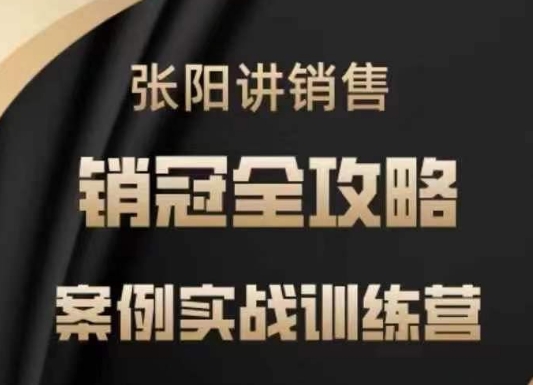 张阳讲销售实战训练营，​案例实战训练，销冠全攻略-云慧网创