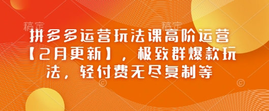 拼多多运营玩法课高阶运营【2月更新】，极致群爆款玩法，轻付费无尽复制等-云慧网创