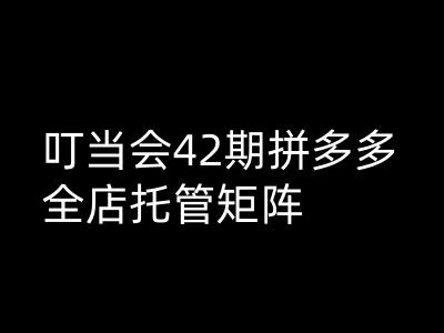 叮当会拼多多打爆班原创高阶技术第42期，拼多多全店托管矩阵-云慧网创