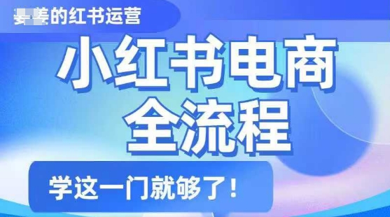 小红书电商全流程，精简易懂，从入门到精通，学这一门就够了-云慧网创