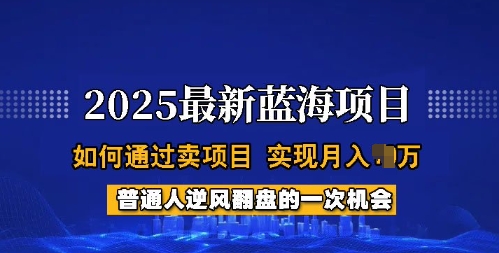 2025蓝海项目，普通人如何通过卖项目，实现月入过W，全过程【揭秘】-云慧网创