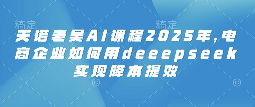 天诺老吴AI课程2025年，电商企业如何用deeepseek实现降本提效-云慧网创
