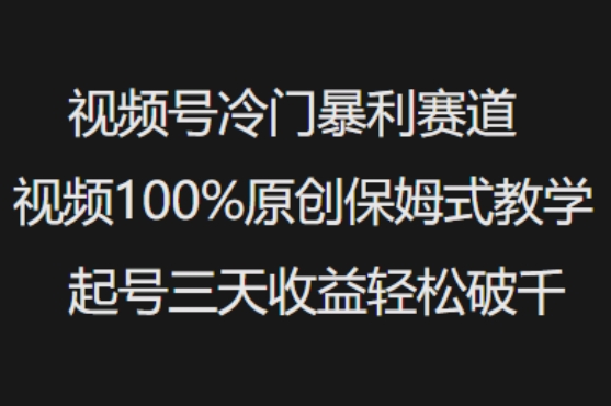 视频号冷门暴利赛道视频100%原创保姆式教学起号三天收益轻松破千-云慧网创