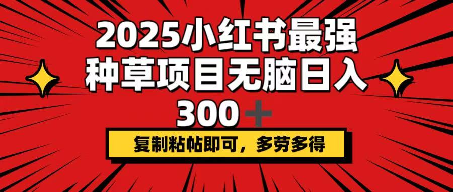 2025小红书最强种草项目，无脑日入300+，复制粘帖即可，多劳多得-云慧网创