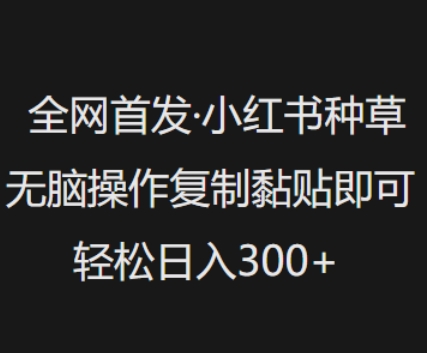 全网首发，小红书种草无脑操作，复制黏贴即可，轻松日入3张-云慧网创