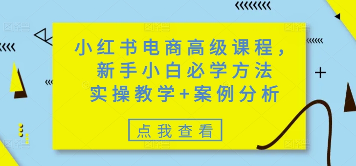 小红书电商高级课程，新手小白必学方法，实操教学+案例分析-云慧网创