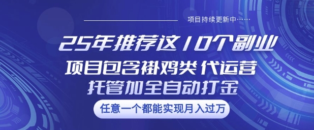 25年推荐这10个副业项目包含褂鸡类、代运营托管类、全自动打金类【揭秘】-云慧网创