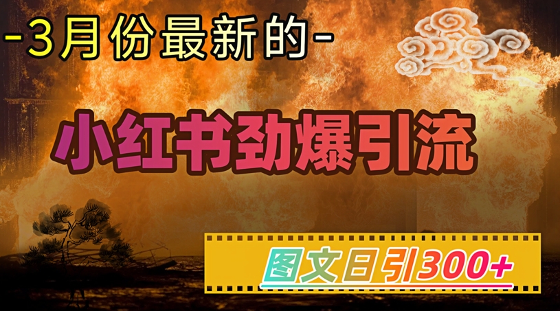 小红书超劲爆引流手段，图文日引300+轻松变现1W-云慧网创