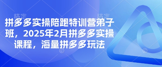 拼多多实操陪跑特训营弟子班，2025年2月拼多多实操课程，海量拼多多玩法-云慧网创