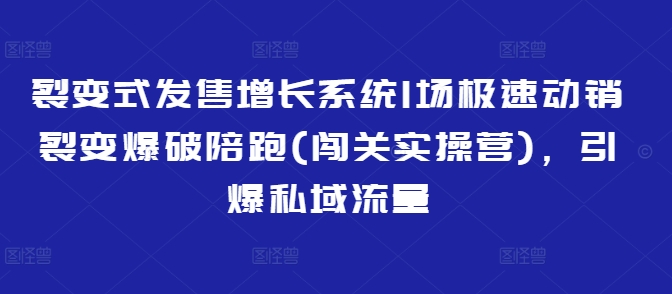 裂变式发售增长系统1场极速动销裂变爆破陪跑(闯关实操营)，引爆私域流量-云慧网创