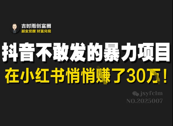 抖音不敢发的暴利项目，在小红书悄悄挣了30W-云慧网创