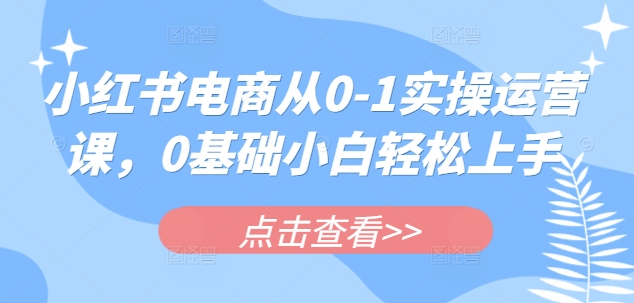 小红书电商从0-1实操运营课，0基础小白轻松上手-云慧网创