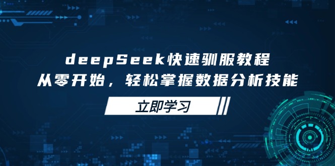 deepSeek快速驯服教程，从零开始，轻松掌握数据分析技能-云慧网创