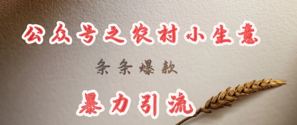 deepseek写农村小项目，条条爆款，暴力引流-云慧网创