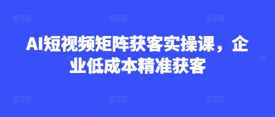 AI短视频矩阵获客实操课，企业低成本精准获客-云慧网创