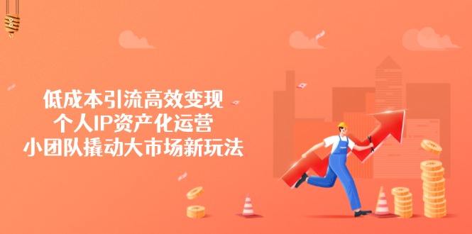 低成本引流高效变现，个人IP资产化运营，小团队撬动大市场新玩法-云慧网创