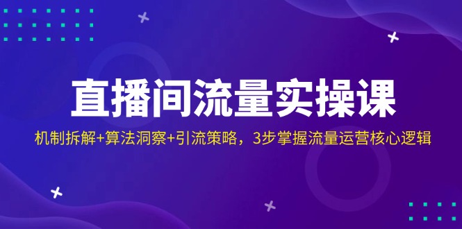 直播间流量实操课：机制拆解+算法洞察+引流策略，3步掌握流量运营核心逻辑-云慧网创