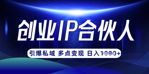 云帆·创业ip合伙人打造3.0，从0到1教你做网创，实现月入过W-云慧网创