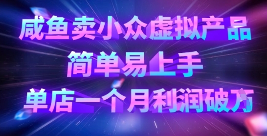 咸鱼卖小众虚拟产品，简单易上手，单店一个月利润破W-云慧网创