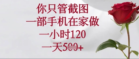 你只管截图，一部手机在家操作，一小时120.一天5张【揭秘】-云慧网创