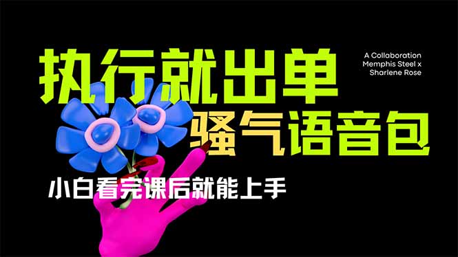爆火全网的开车导航骚气语音包,只要执行就出单，小白看完课程就能实操…-云慧网创
