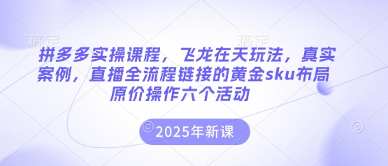 拼多多实操课程，飞龙在天玩法，真实案例，直播全流程链接的黄金sku布局原价操作六个活动-云慧网创