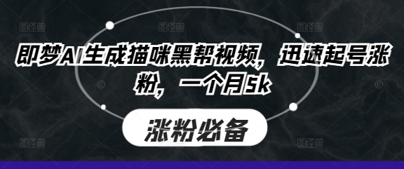 即梦AI生成猫咪黑帮视频，迅速起号涨粉，一个月5k-云慧网创