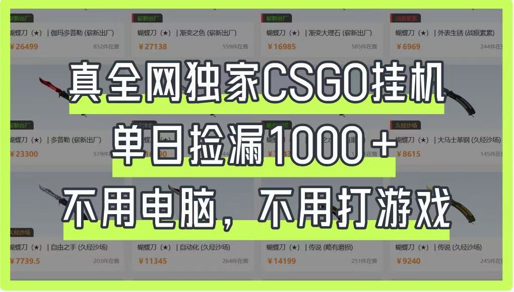 真全网独家CSGO挂机，单日捡漏1000+，不用电脑，不用养号-云慧网创