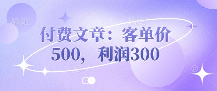 付费文章：客单价500，利润300-云慧网创