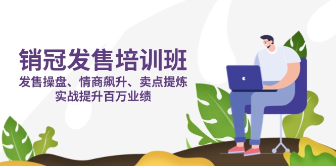 销冠 发售培训班：发售 操盘+情商 飙升+卖点 提炼，实战提升百万业绩-云慧网创