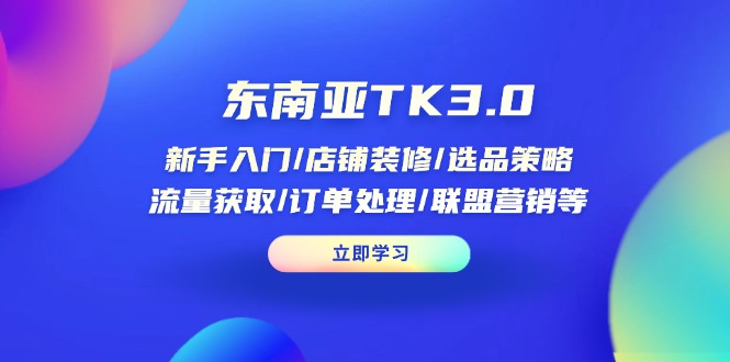 东南亚TK3.0：新手入门/店铺装修/选品策略/流量获取/订单处理/联盟营销等-云慧网创