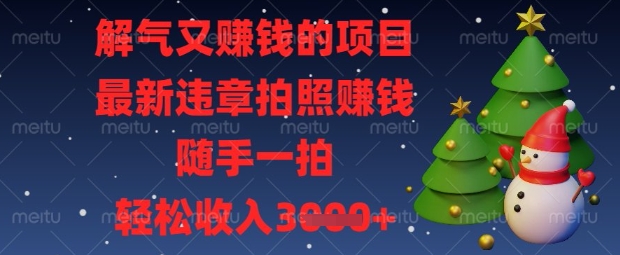 解气又挣钱的项目，最新违章拍照挣钱，随手一拍，轻松收入数张【揭秘】-云慧网创