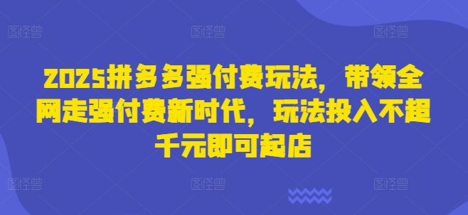 2025拼多多强付费玩法，带领全网走强付费新时代，玩法投入不超千元即可起店-云慧网创