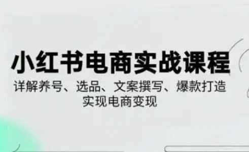 小红书从0-1实操课(2023-2025)，详解养号、选品、文案撰写、爆款打造实现电商变现-云慧网创
