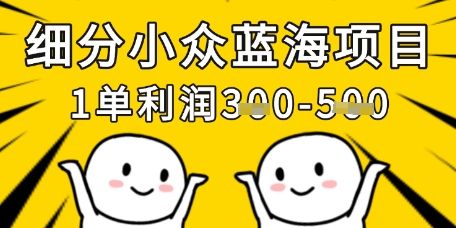 细分小众蓝海项目，一单利润3张，每月收入稳定过1w+-云慧网创