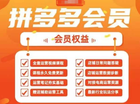 2025拼多多运营实战课，40节全流程教学，覆盖拼多多运营全链路-云慧网创