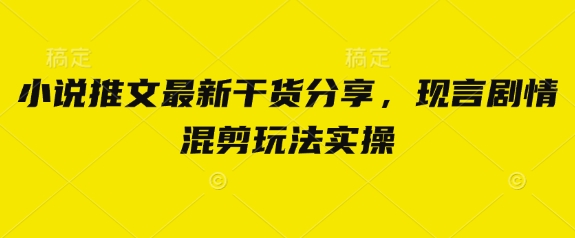 小说推文最新干货分享，现言剧情混剪玩法实操-云慧网创