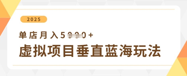 虚拟项目垂直玩法，实现单店月入5k+-云慧网创